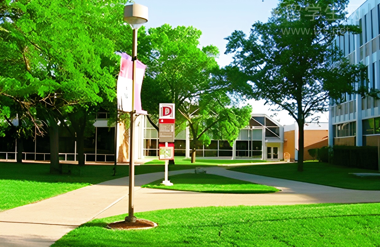 揭秘公园前环球雅思的高分秘籍！