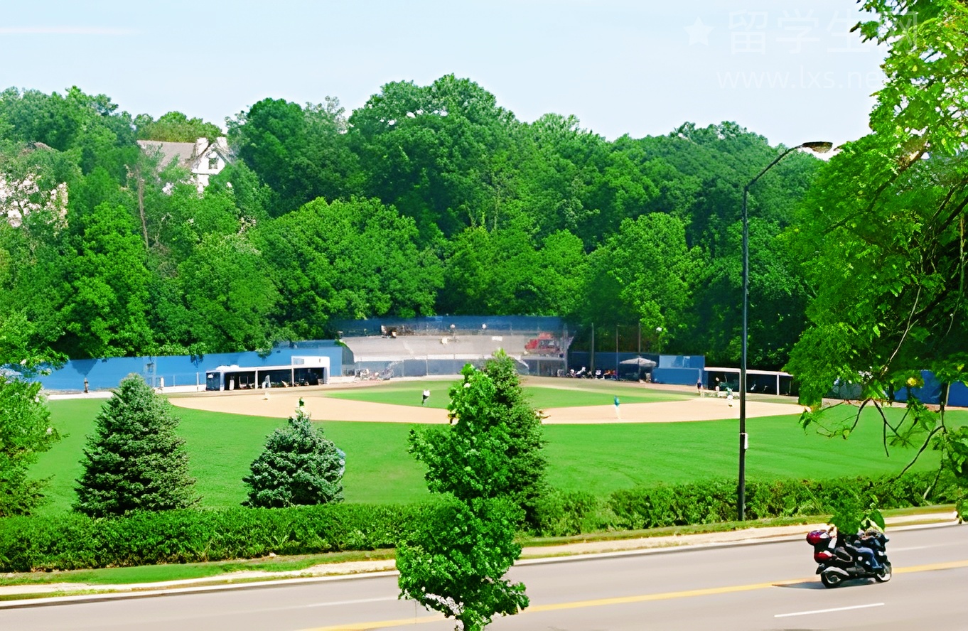 雅思阅读入门宝典，小白也能轻松上手