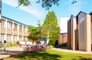 雅思阅读考什么?这一篇全部讲清楚