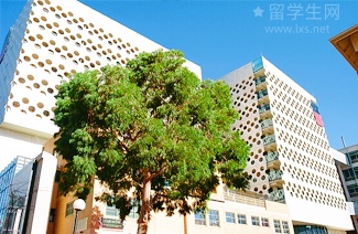 雅思报名快人一步，抢考位秘籍