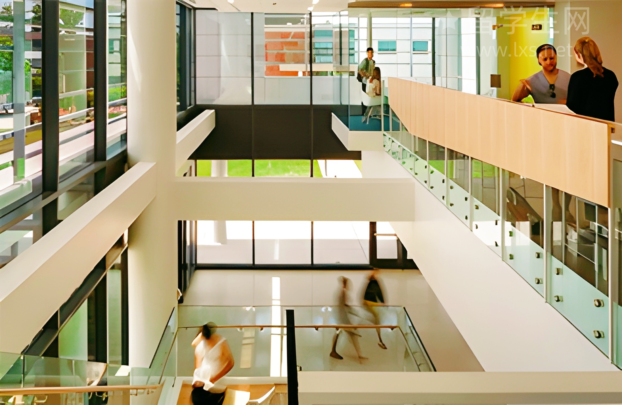 澳洲留学神仙专业：物理治疗师