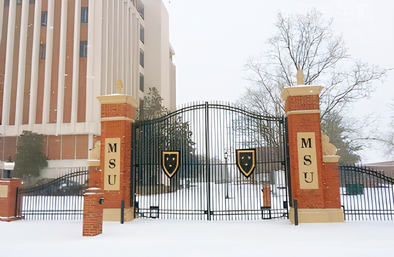 留学昆士兰，解锁南半球的硬核科技！
