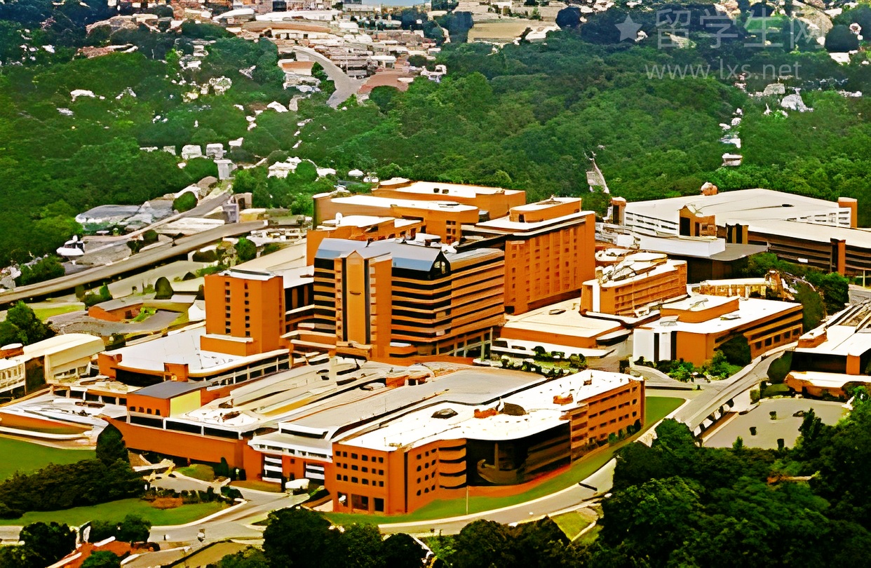 解锁顺德雅思高分密码