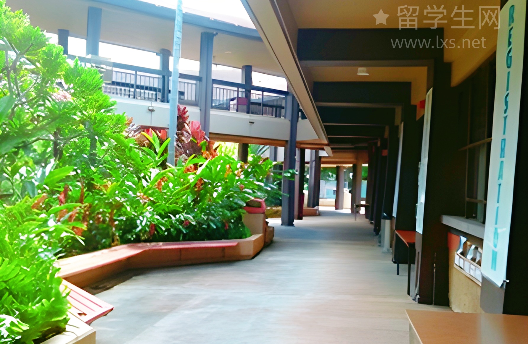 别只盯着本科！加拿大专科优势超乎想象