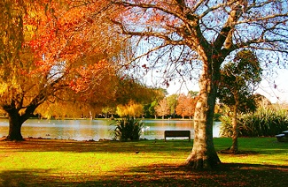 留美选对专业,薪资直接起飞