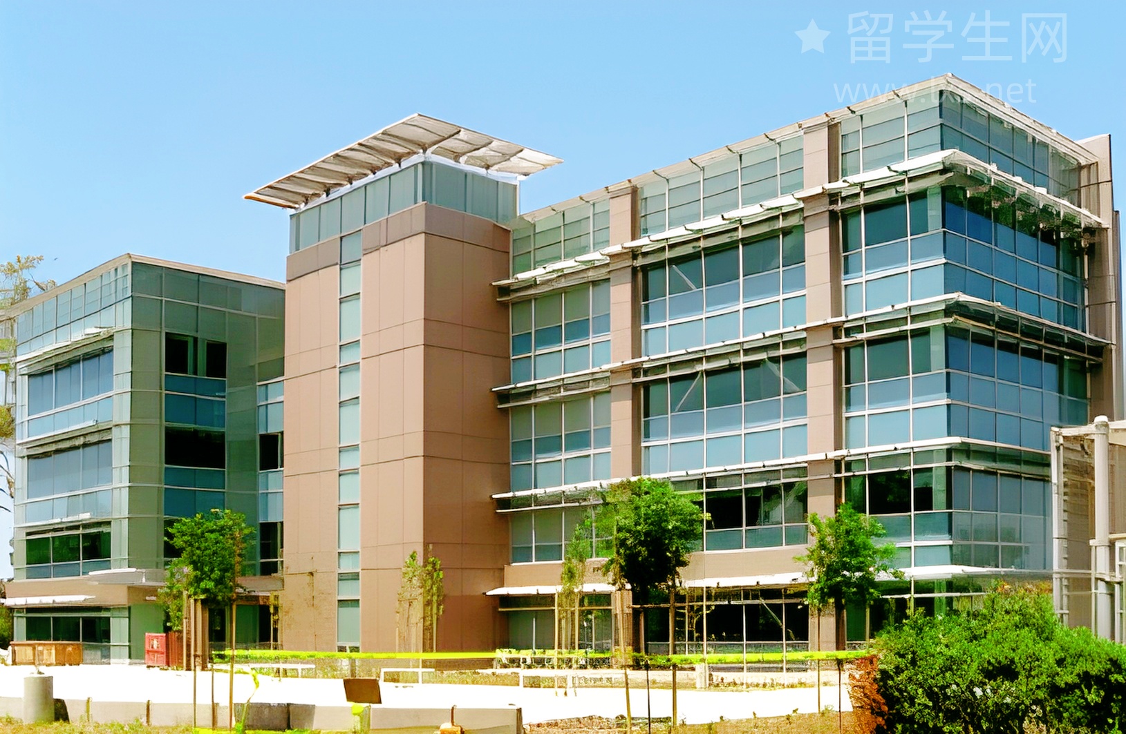 美国精英圈公认的梦中情校是哪所？