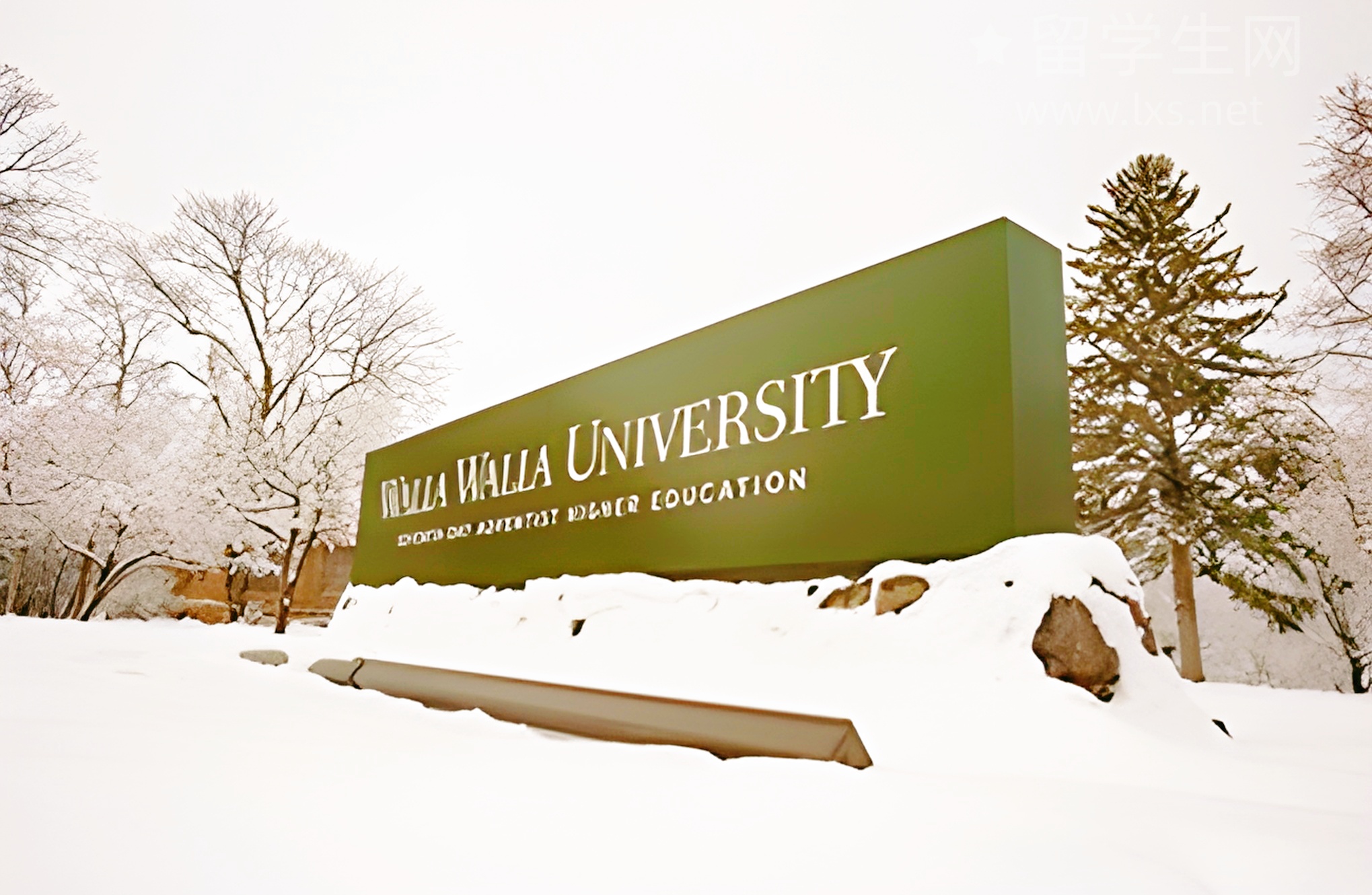 留学生学HR，是高薪风口还是毕业就失业？