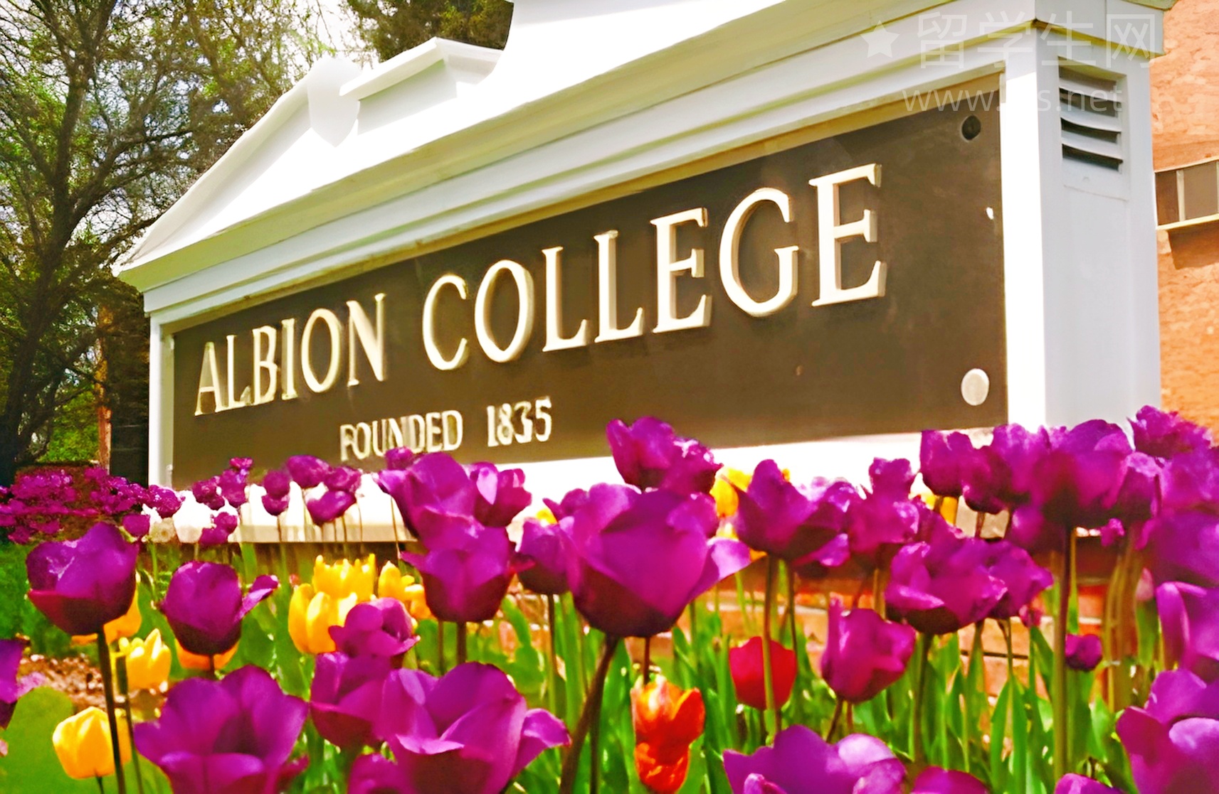 在启德学雅思，原来高分这么简单