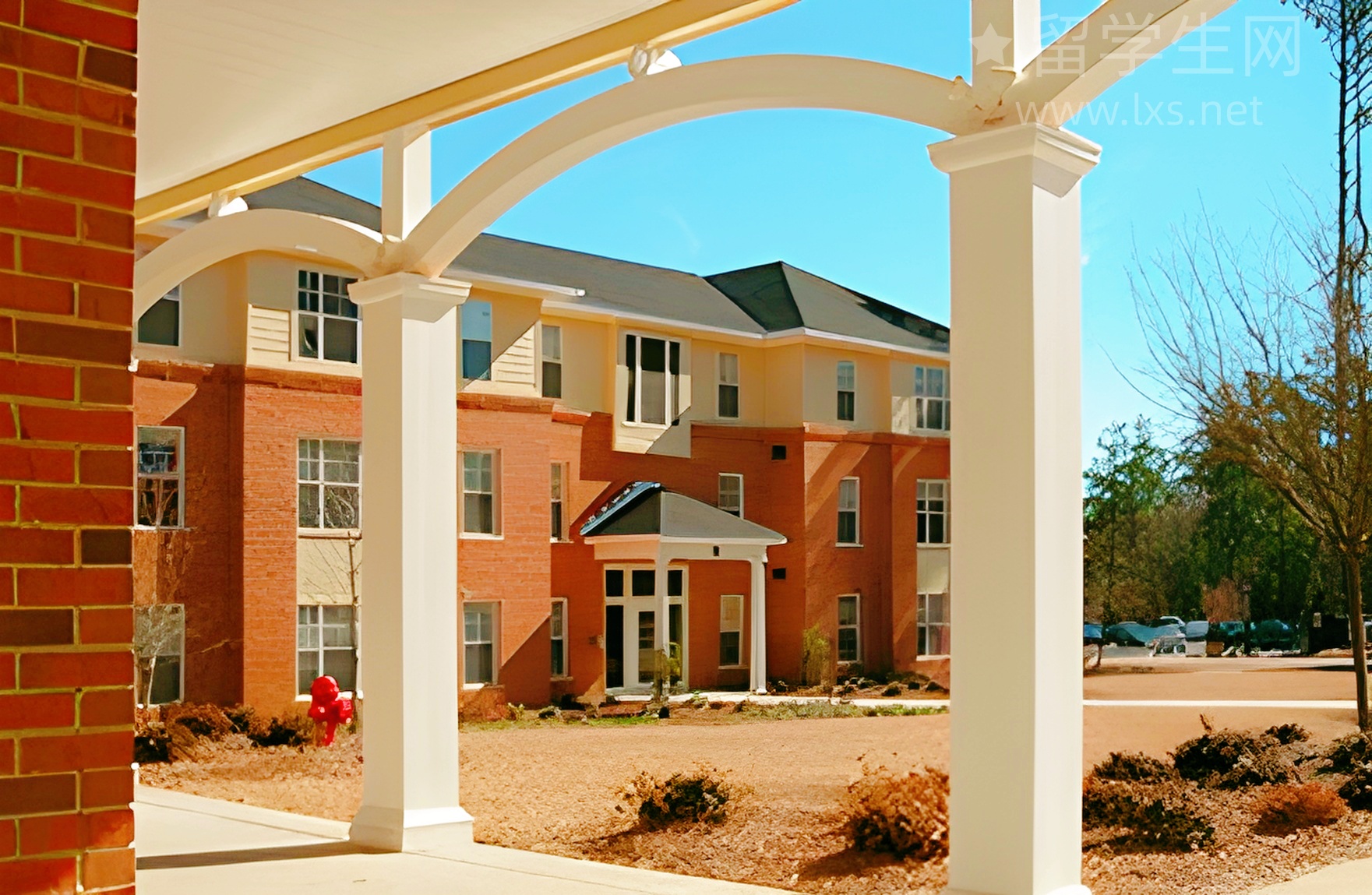 迈西雅思：提分加速，轻松搞定！