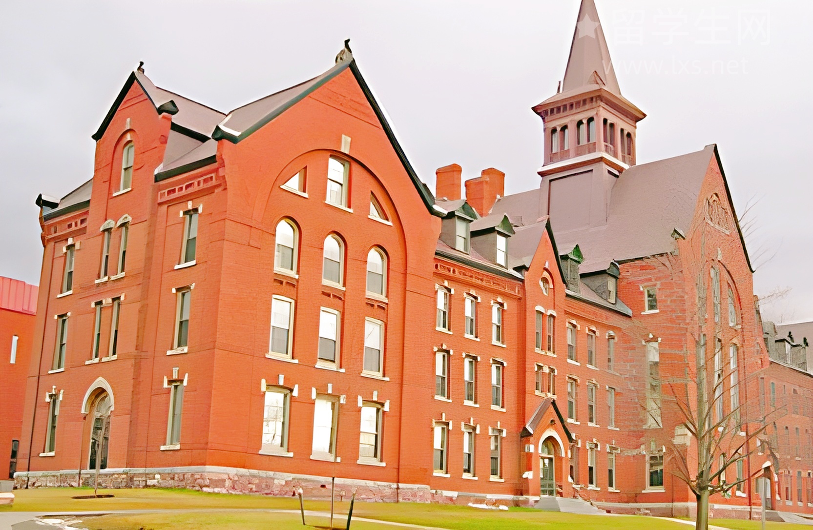 雅思封闭班怎么选?看完这篇再报班!