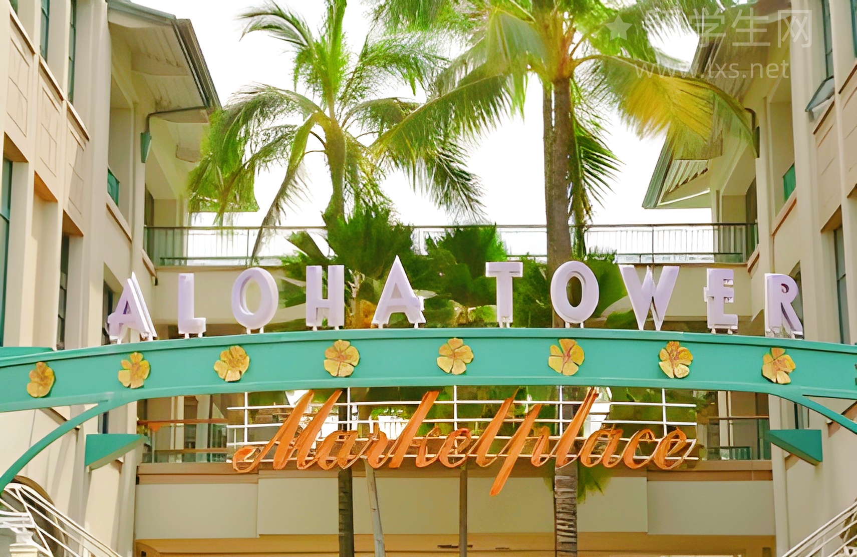 岳阳雅思一次过！这份备考攻略请收好