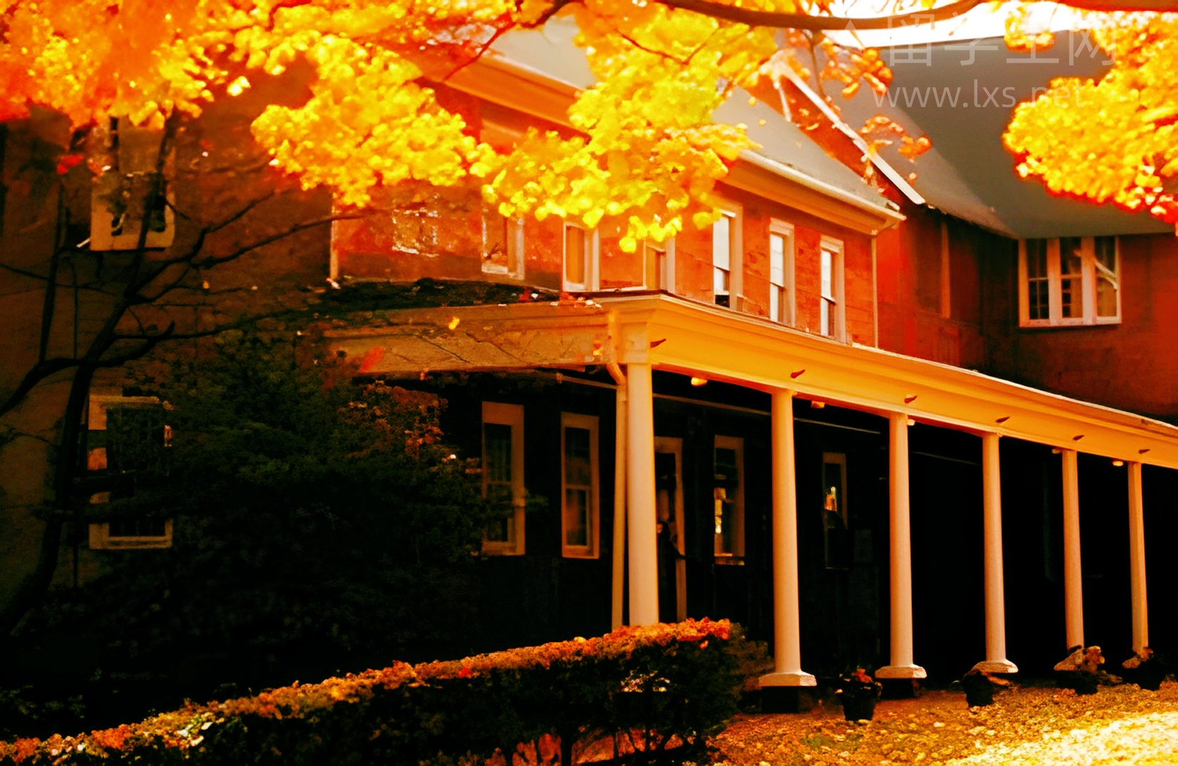 雅思培训选不对，半年努力全白费