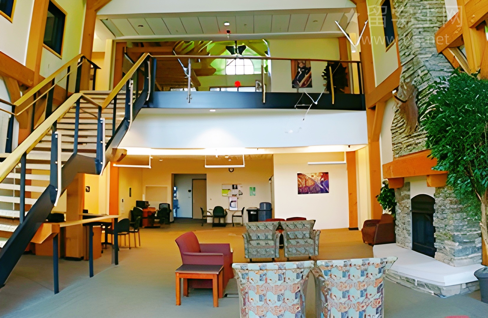 雅思首战5分,我的踩坑血泪史