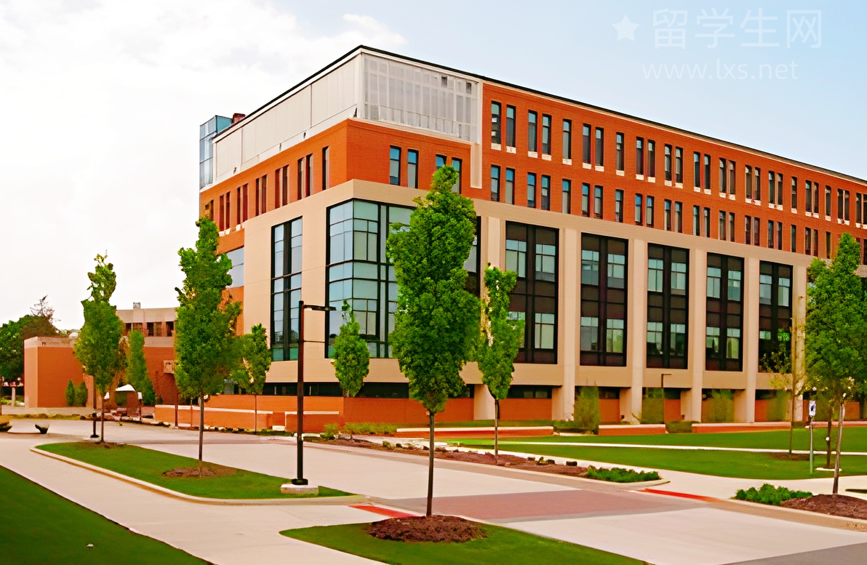 雅思突发抽查，Statement保分指南！