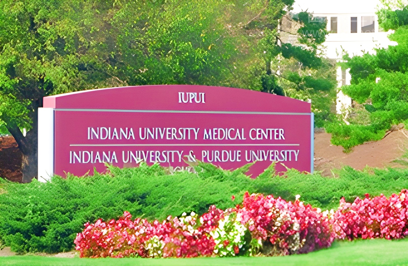 诺雅思，悄悄惊艳所有人的黑马