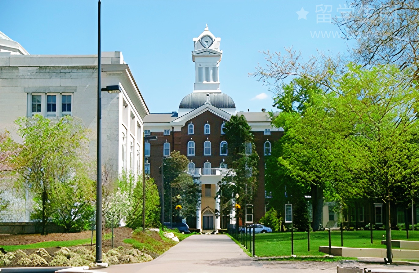 香港法学内卷真相：毕业即高薪？