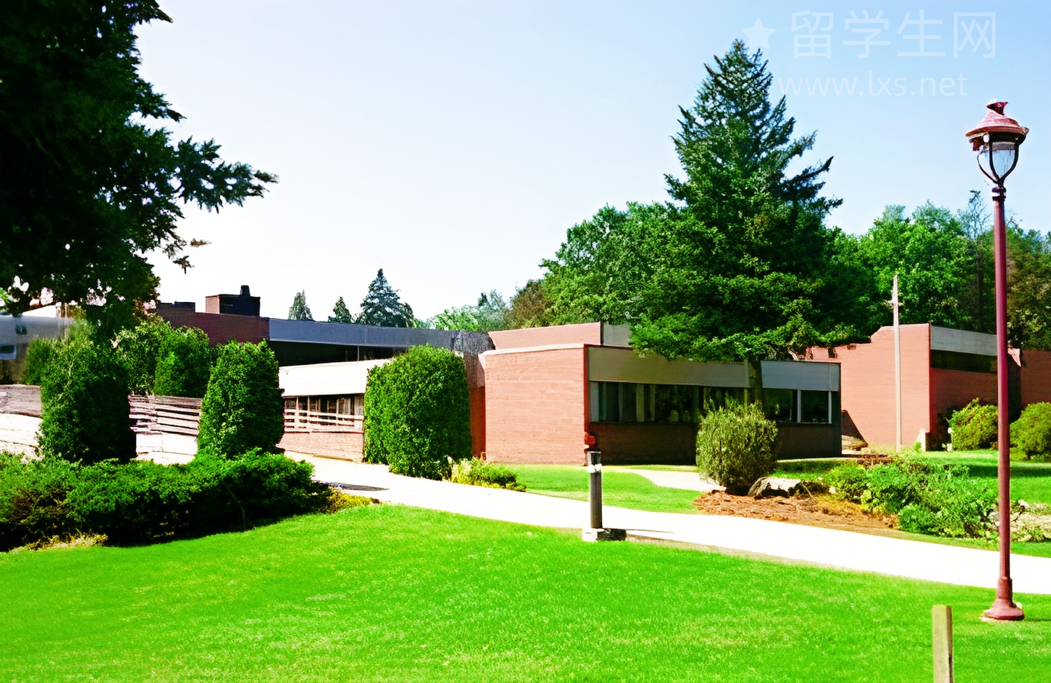 潍坊雅思：高分突破，告别焦虑！