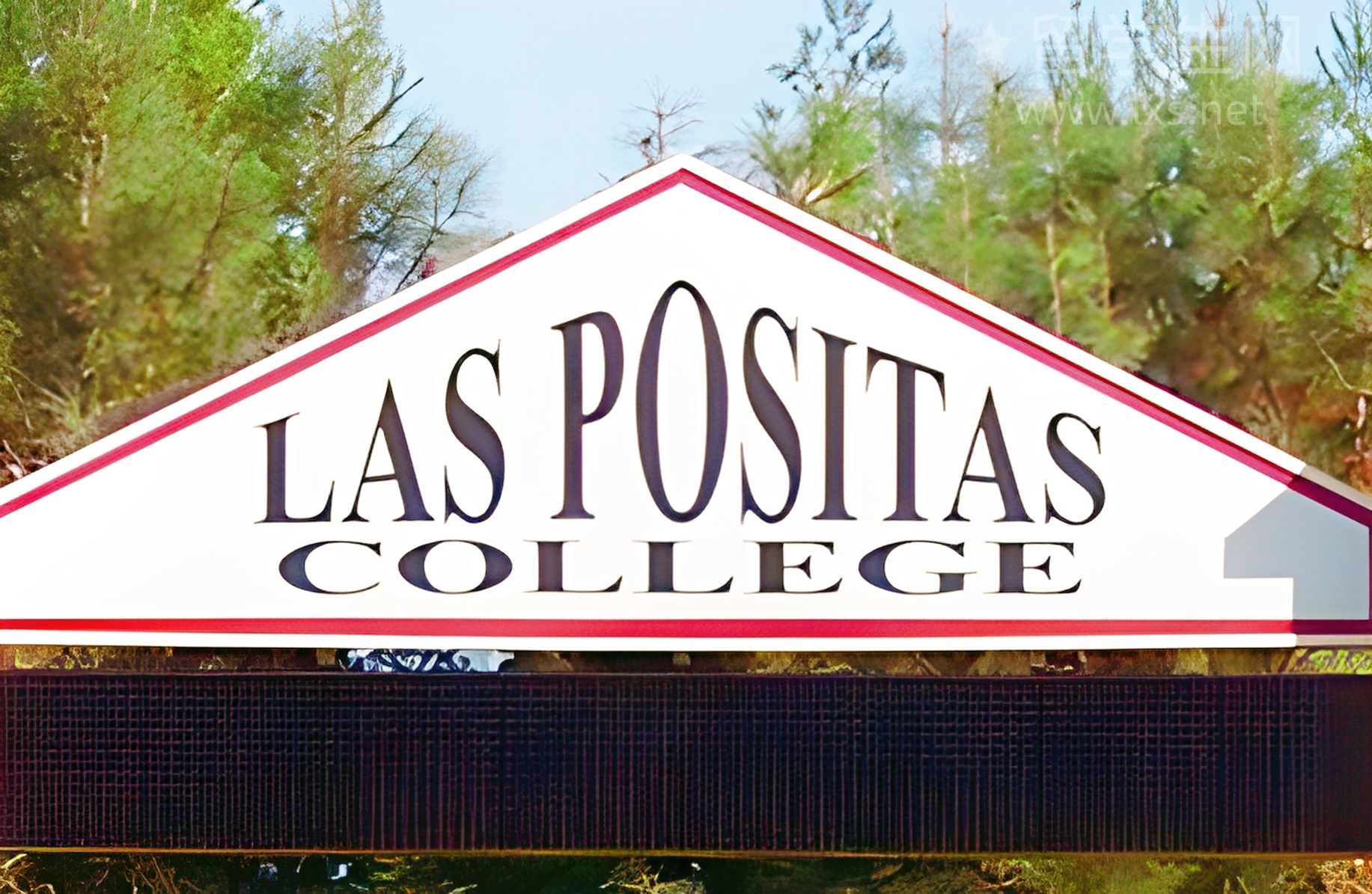 MSU教会我的，不止是GPA