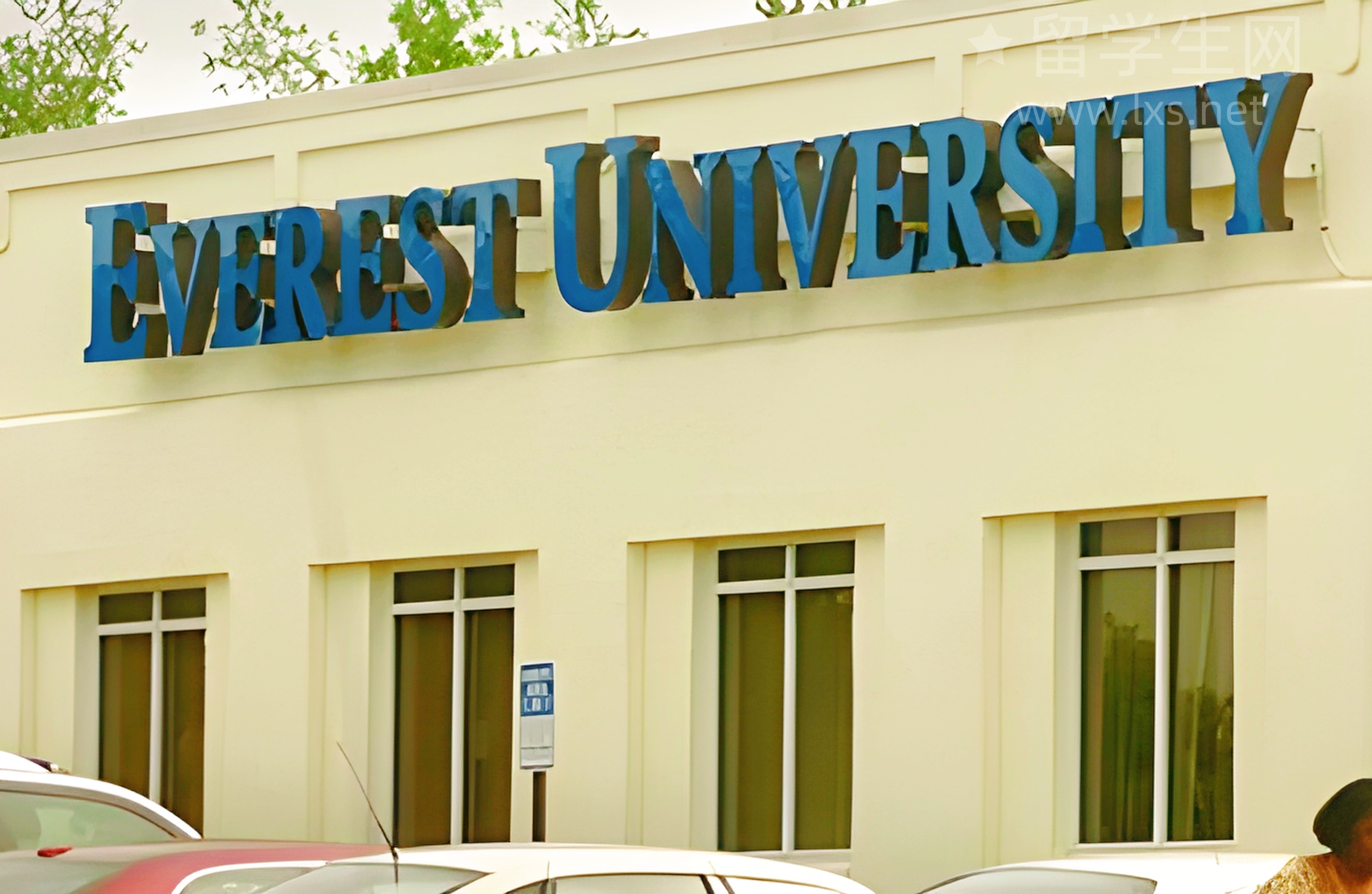 在森林里读艺术高中是种什么神仙体验