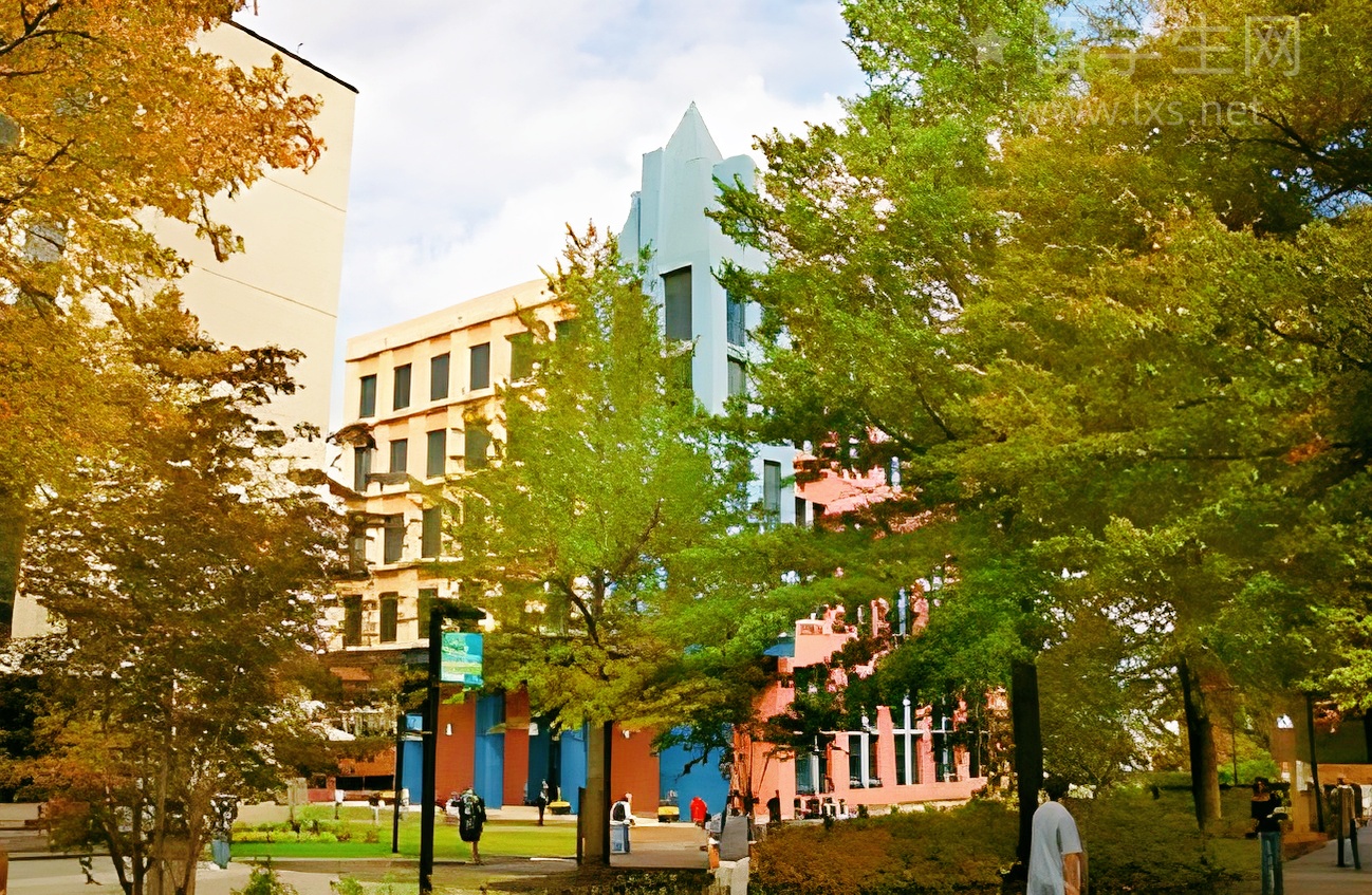 雪城大学雅思要求全攻略，一篇就够