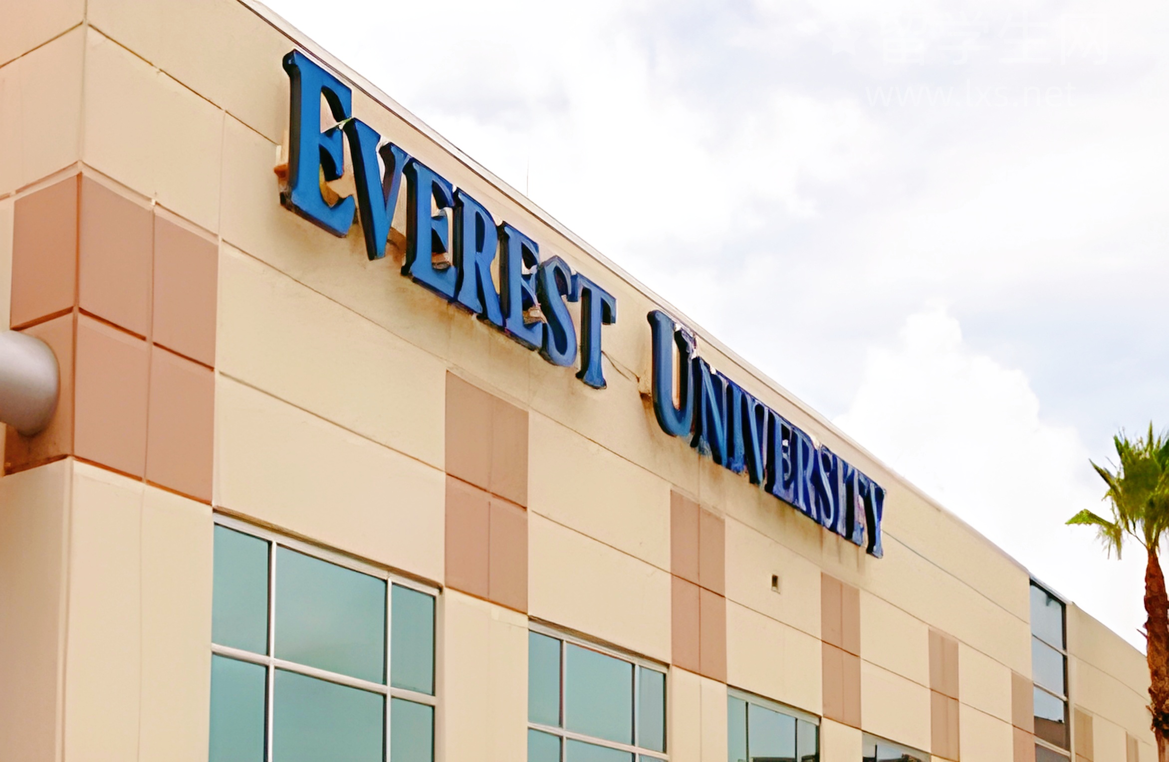 线上雅思机构怎么选？保姆级指南！