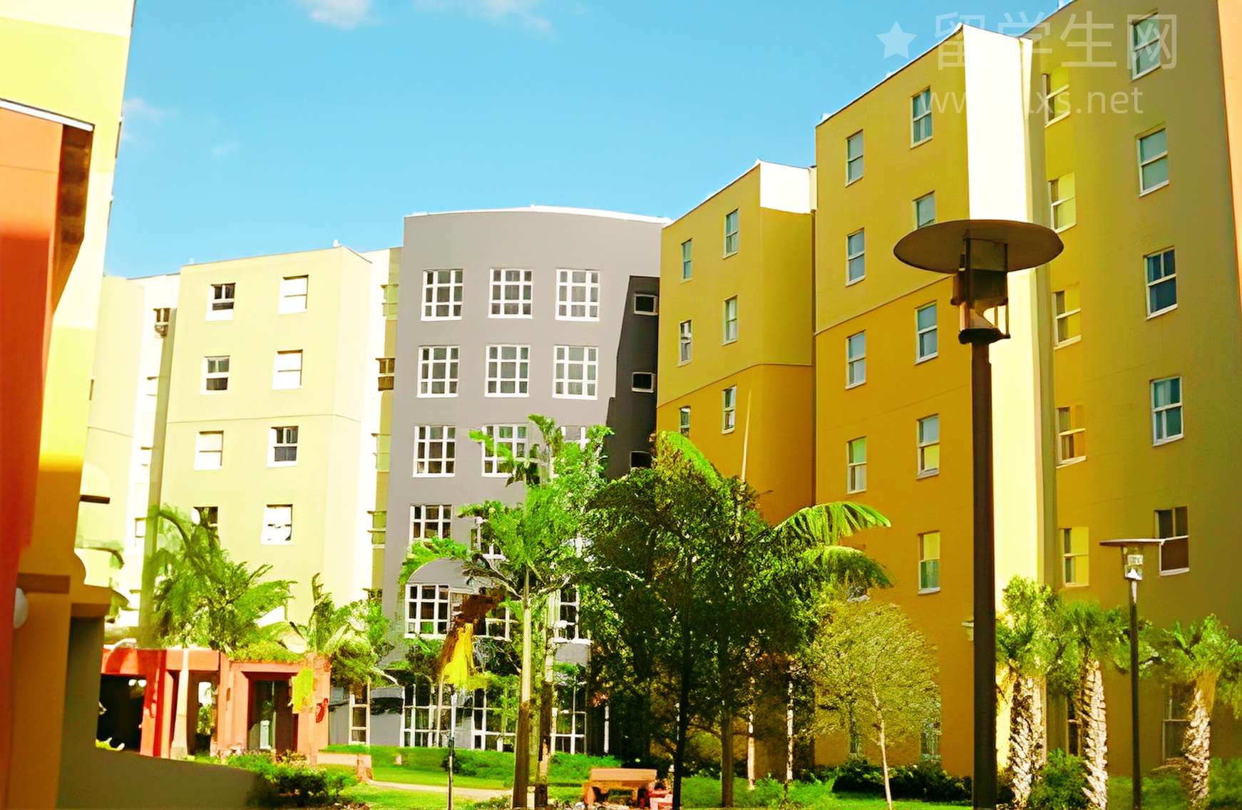 赴美统计，选哪个赛道更吃香？