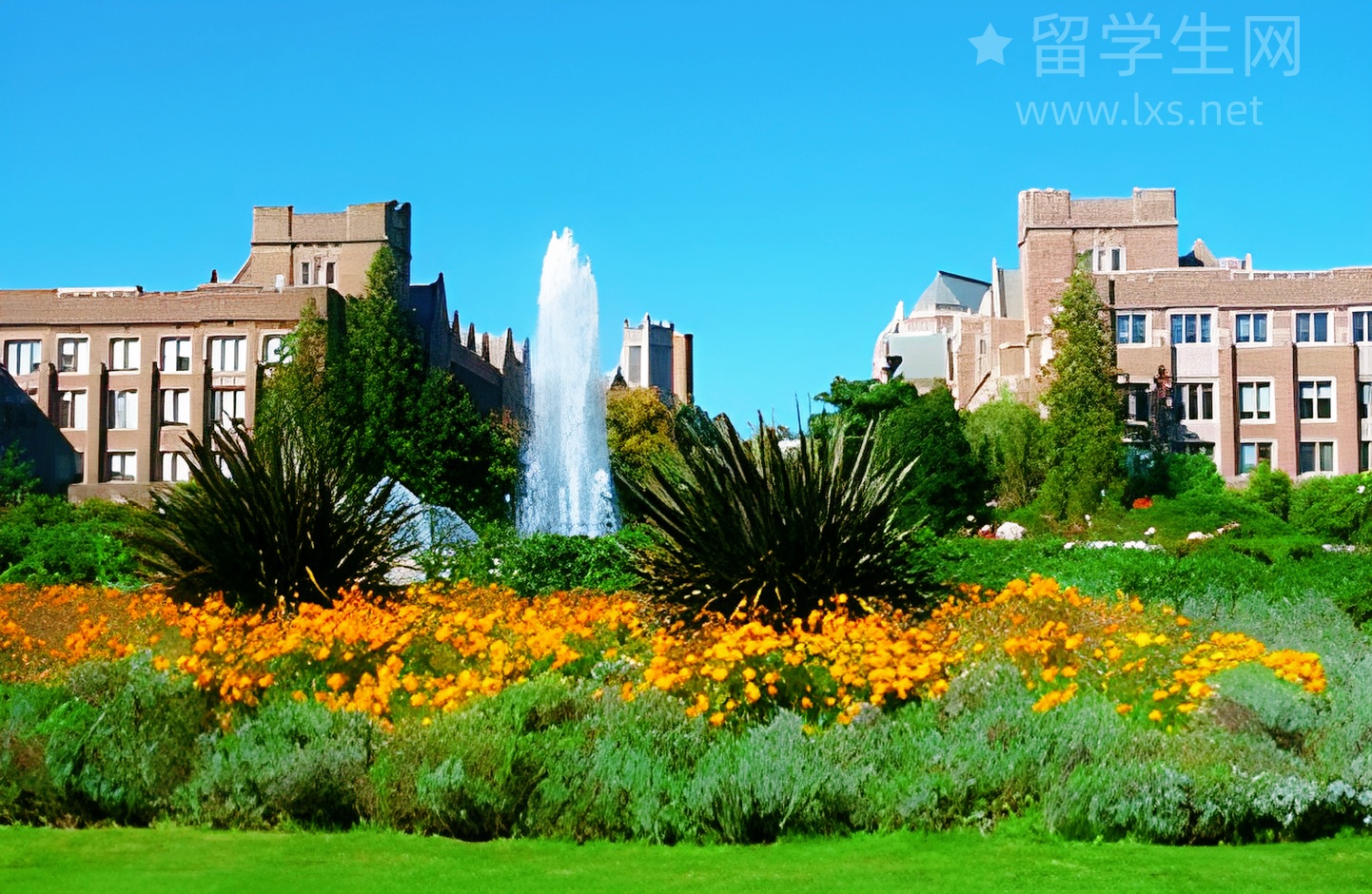 揭秘川外雅思口语高分秘籍