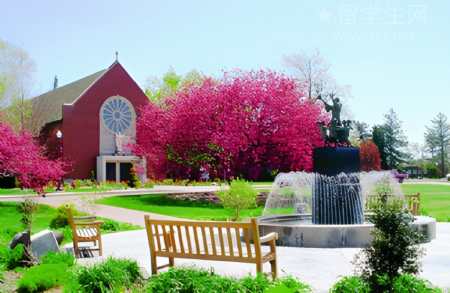 告别题海战术，用逻辑攻克雅思阅读