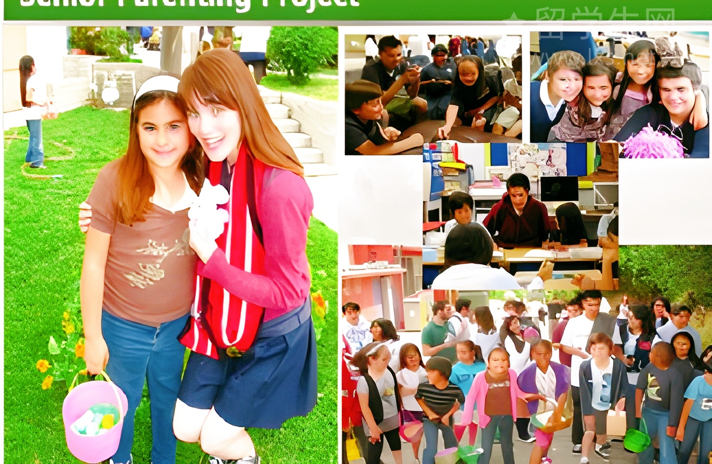 选对网络雅思课，在家也能冲高分