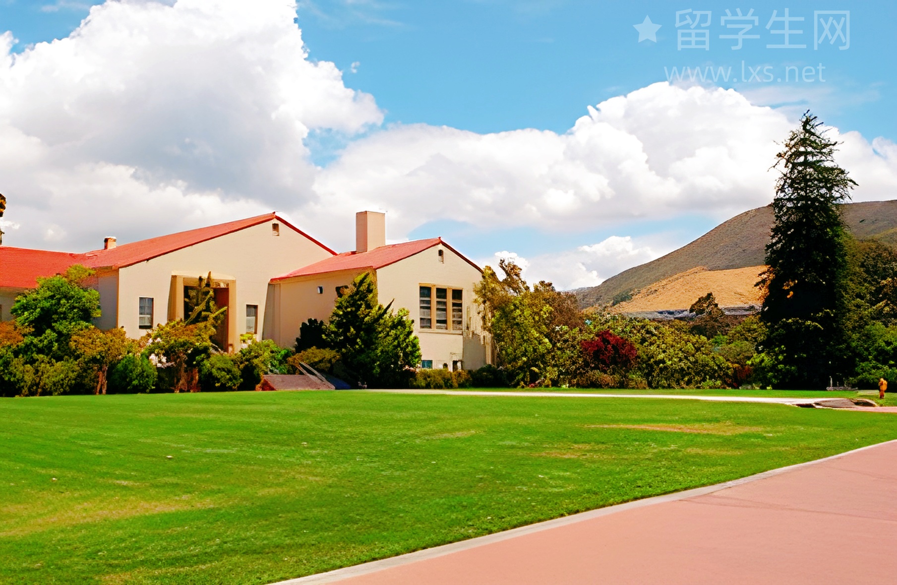 在青岛,雅思高分的秘密就在新东方