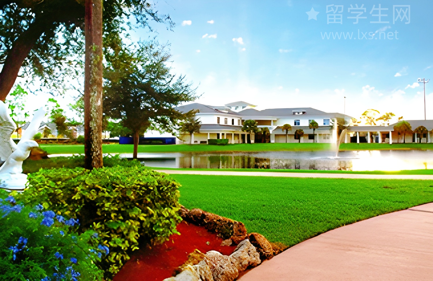 文科生也能读！澳洲跨专业IT硕士盘点