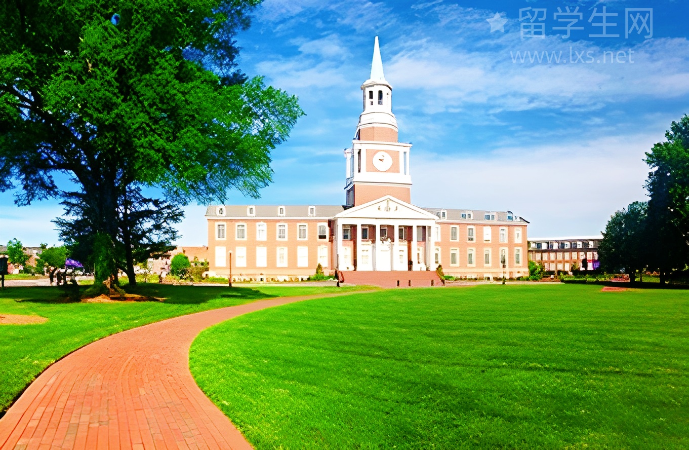 笨鸟逆袭雅思,就靠这款神仙App