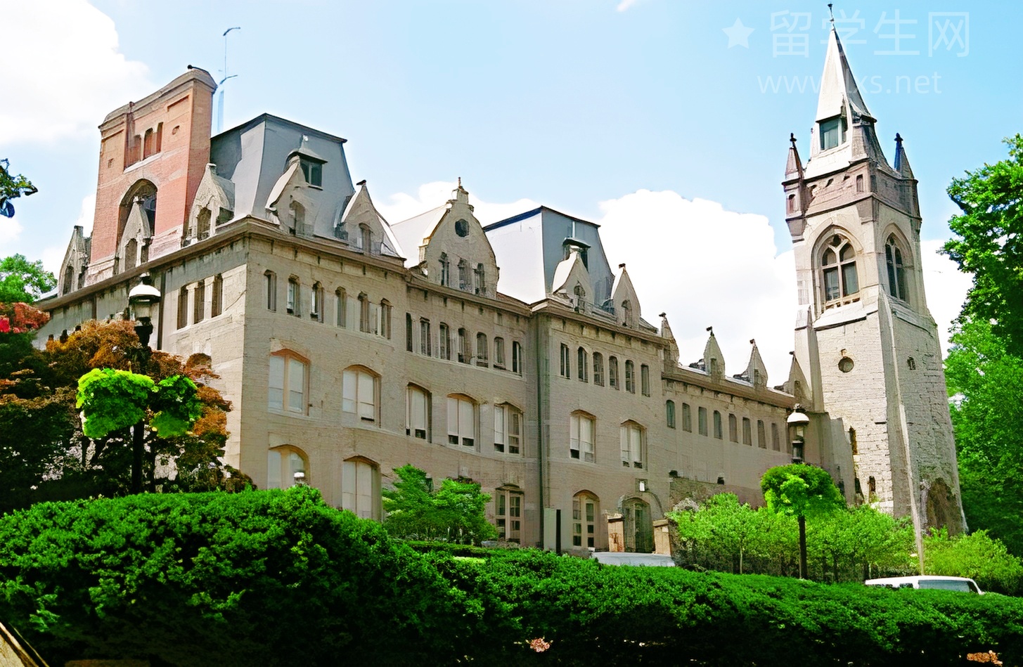 枫叶国商科硕士,高薪热门专业盘点