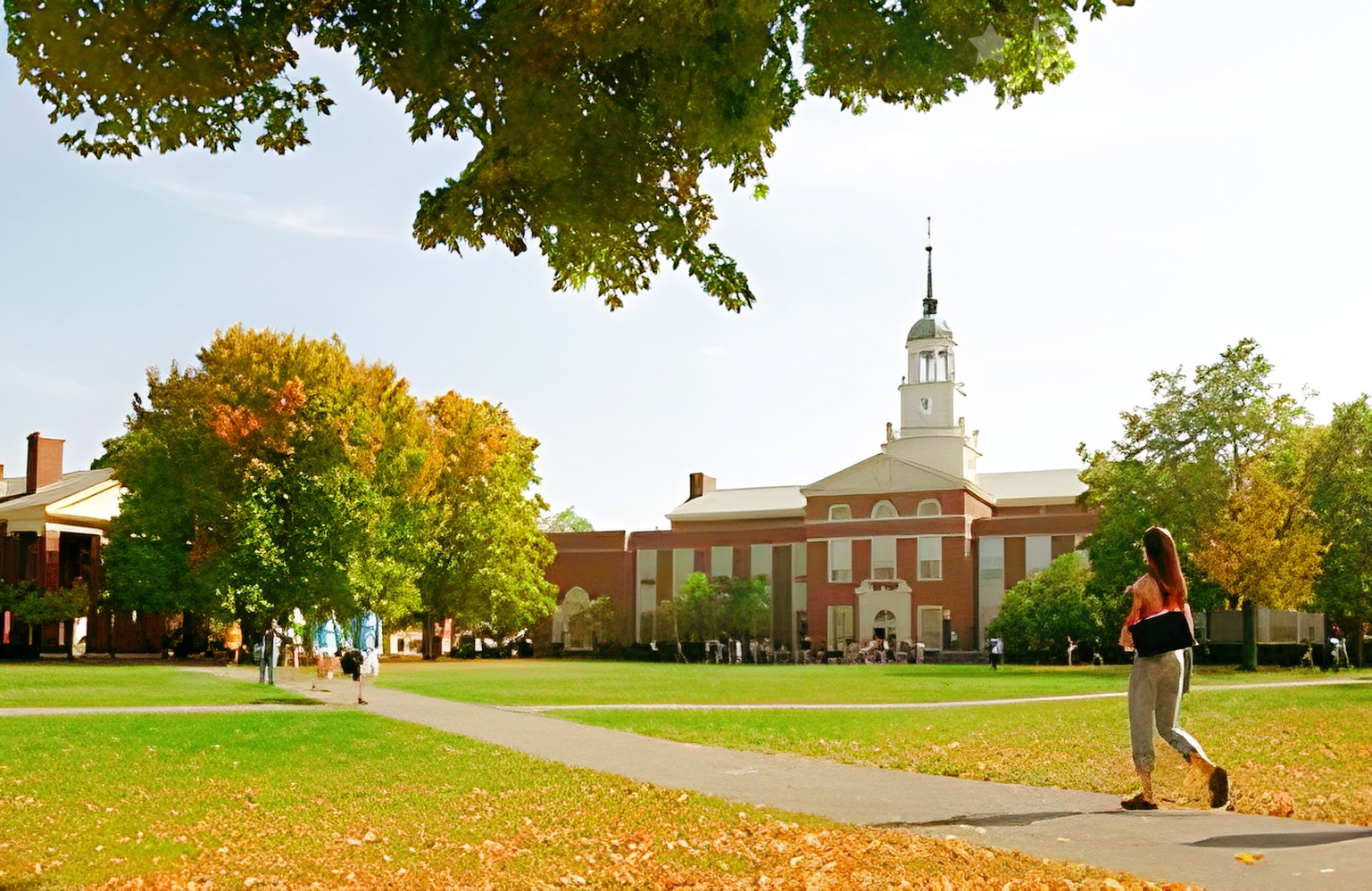 三步搞定雅思作文提纲，提分稳了！