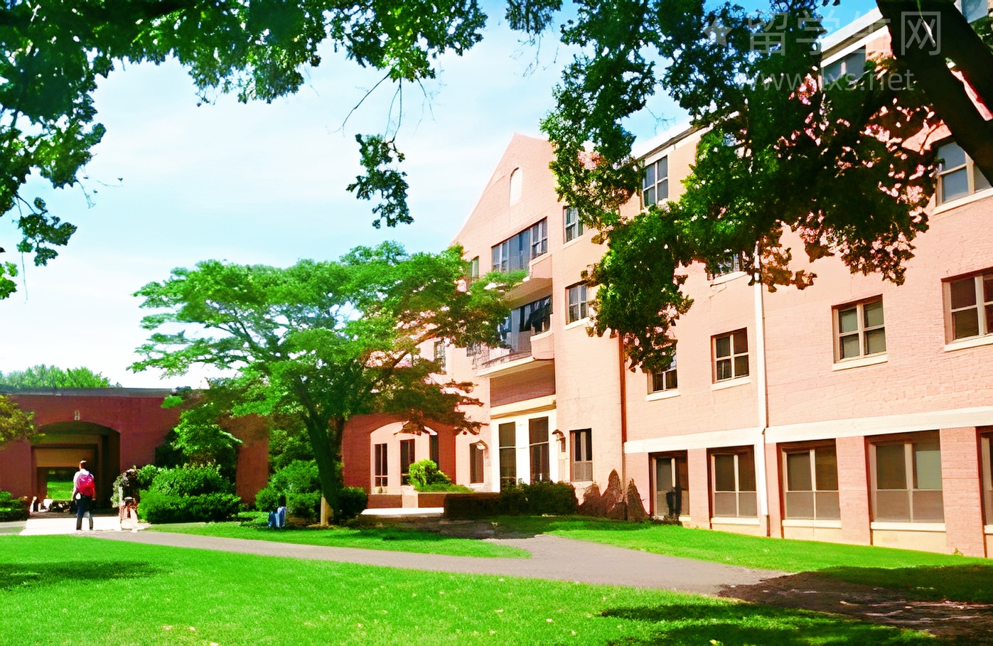 澳洲留学，这些专业才是版本答案