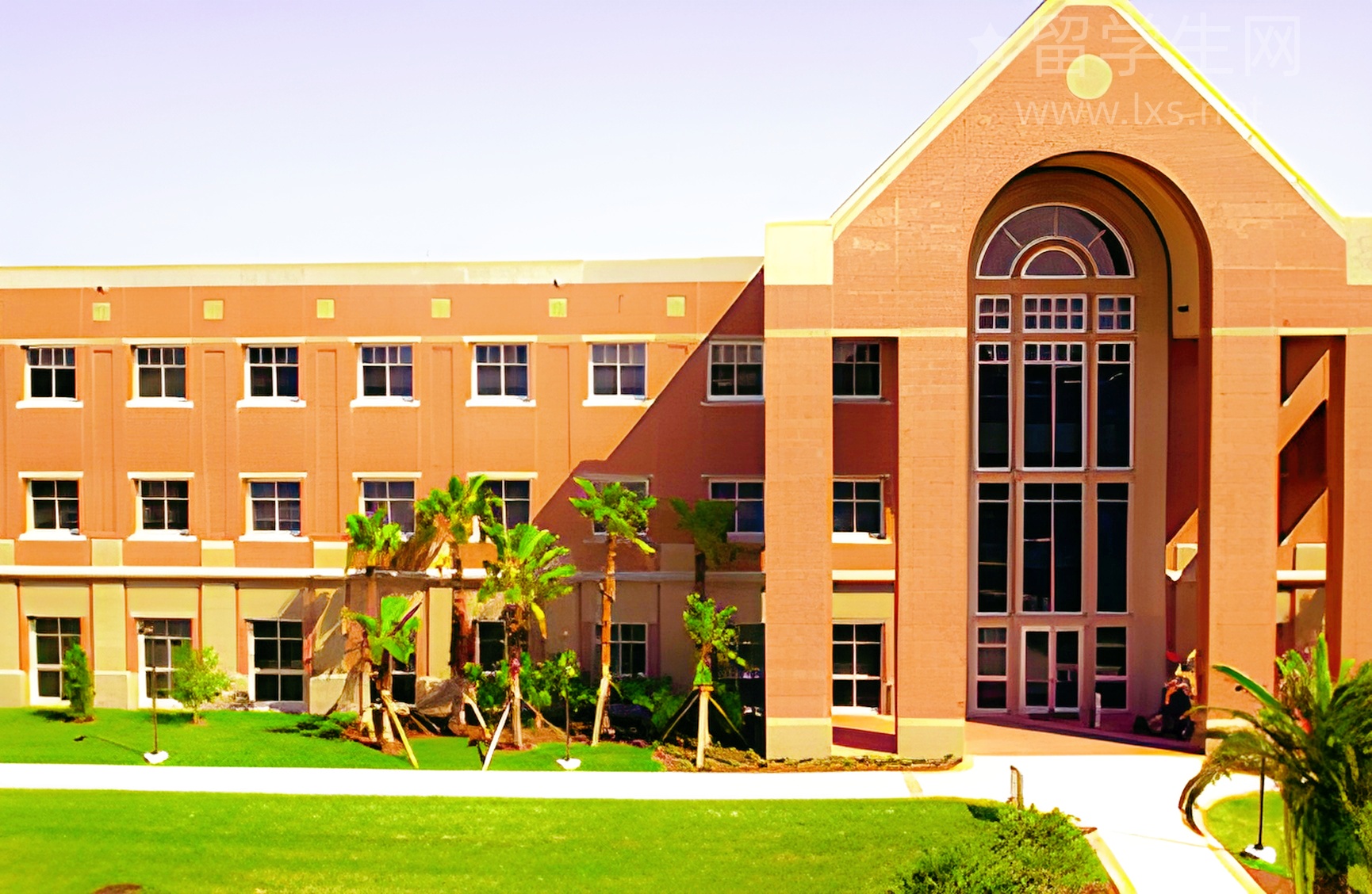 不说废话，雅思口语6.5超全干货