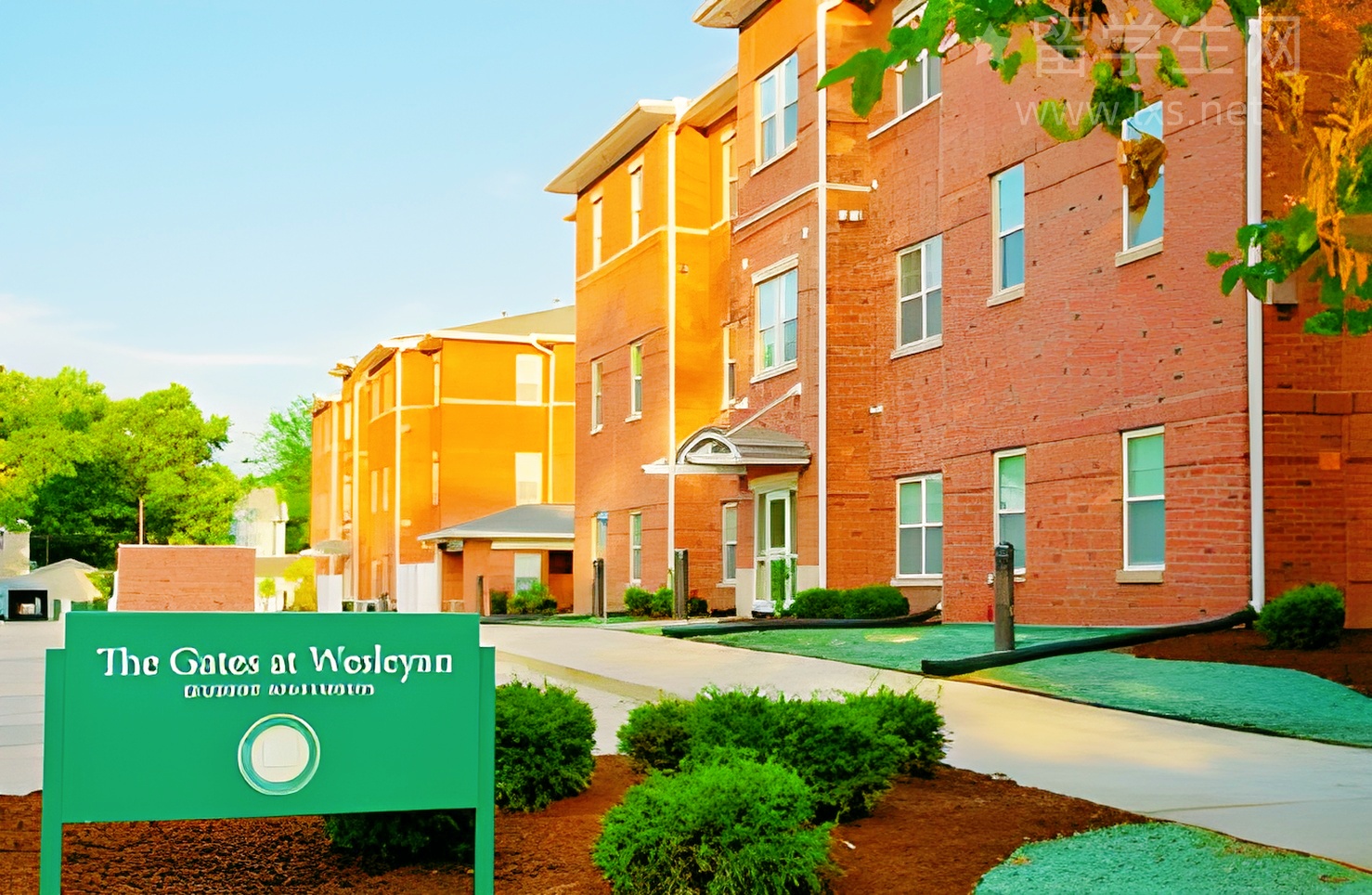 搞定雅思语法句法，解锁写作高分密码