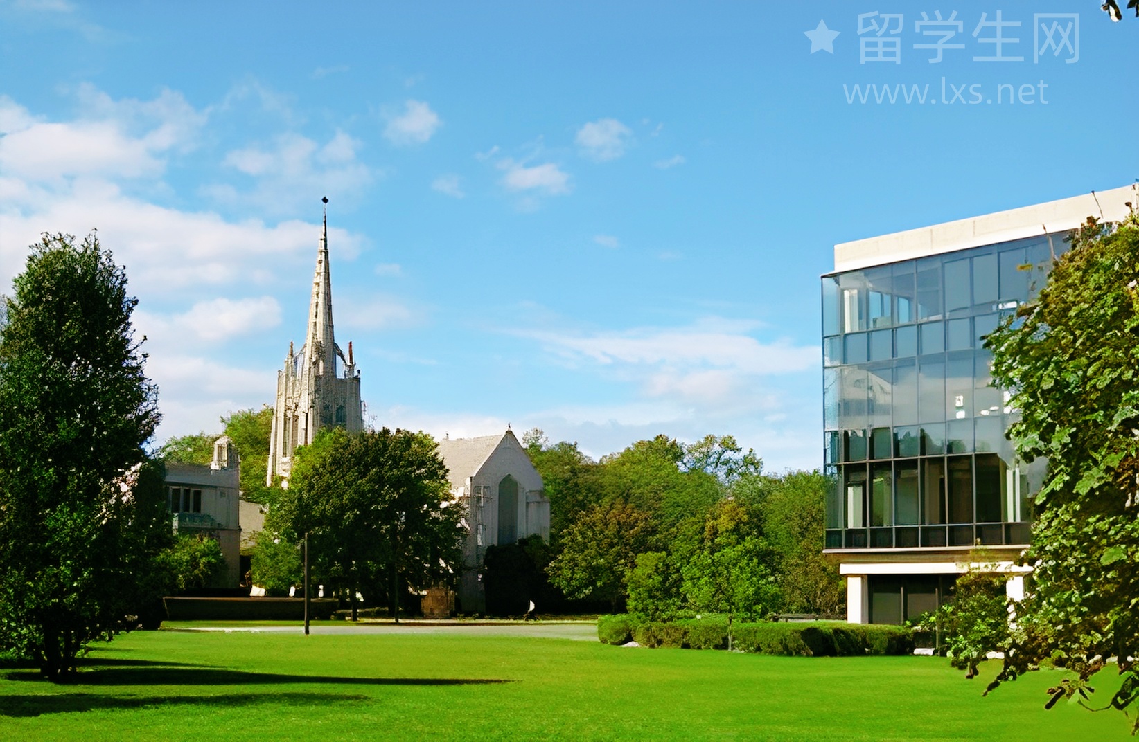 雅思作文告别5分，保6冲7全攻略