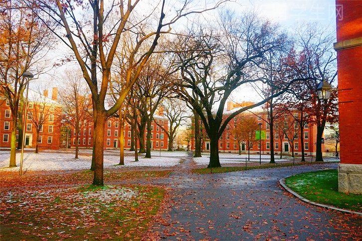 雅思成绩查询，保姆级图文教程在此