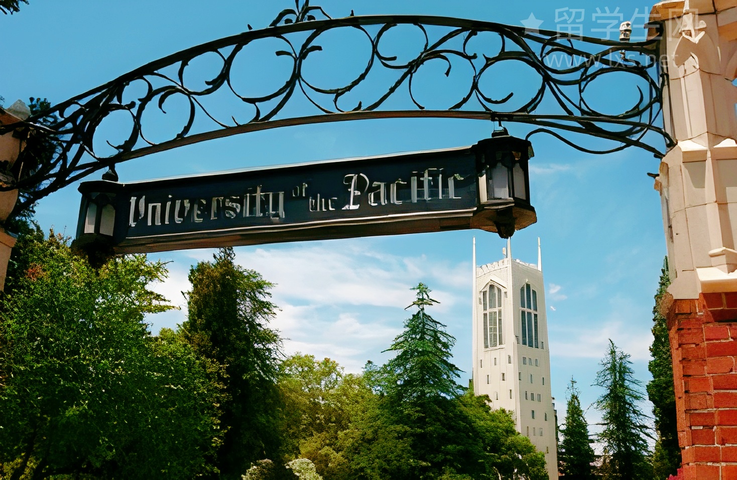 爆肝整理!留学生AI专业核心课程清单