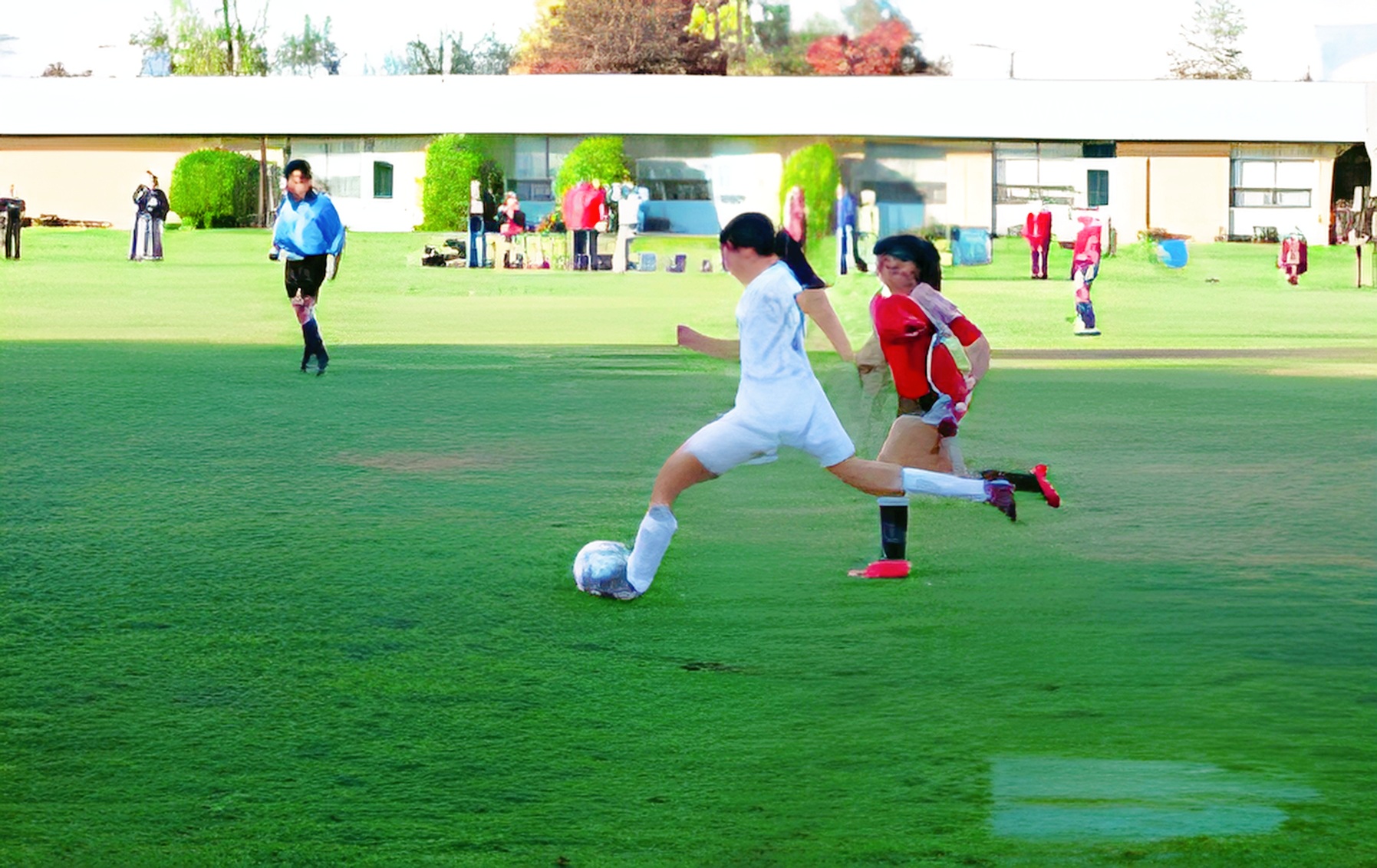 晨读一篇美文，开启雅思学霸模式
