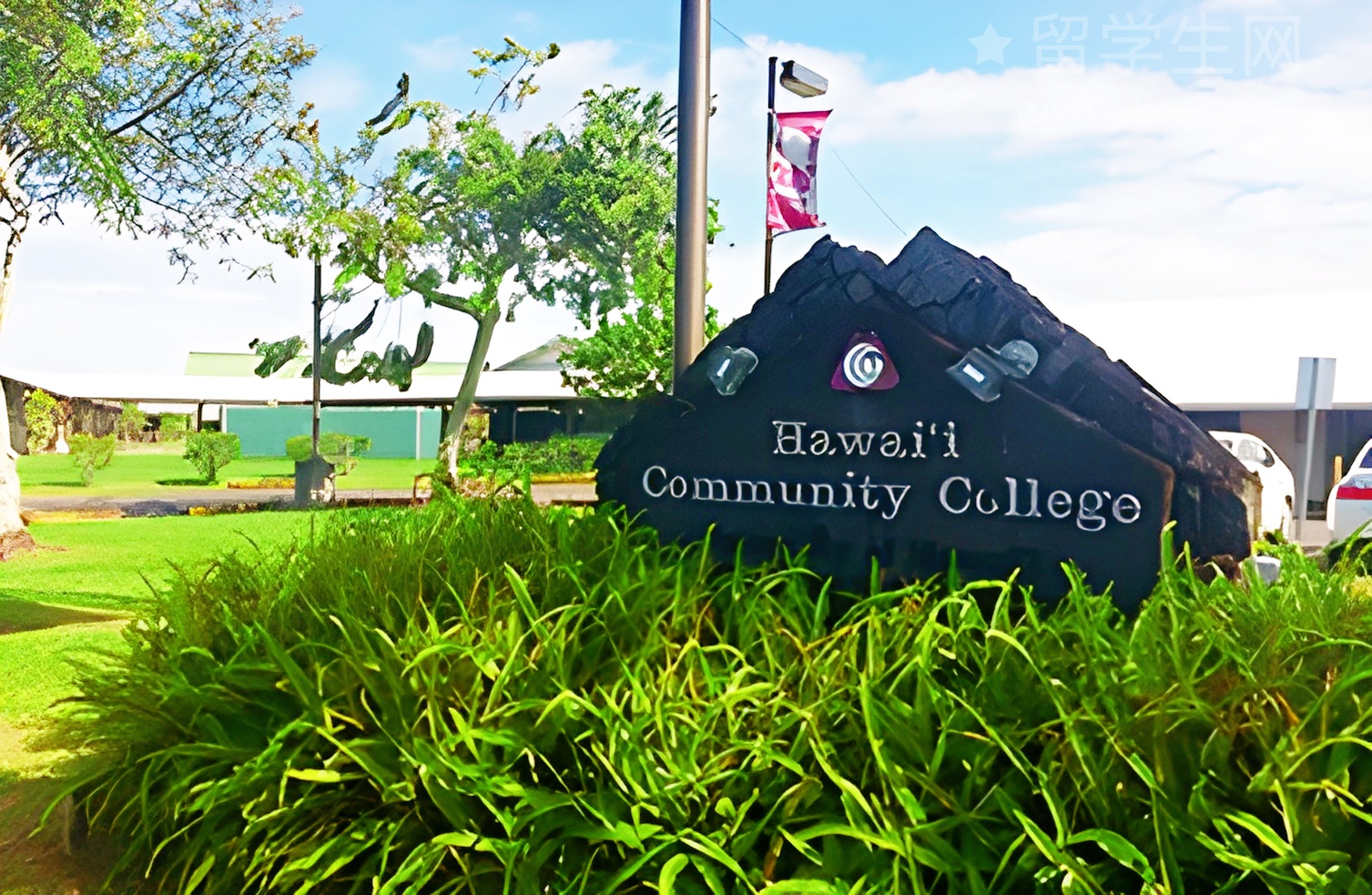 最近火出圈的薰雅思，到底什么来头