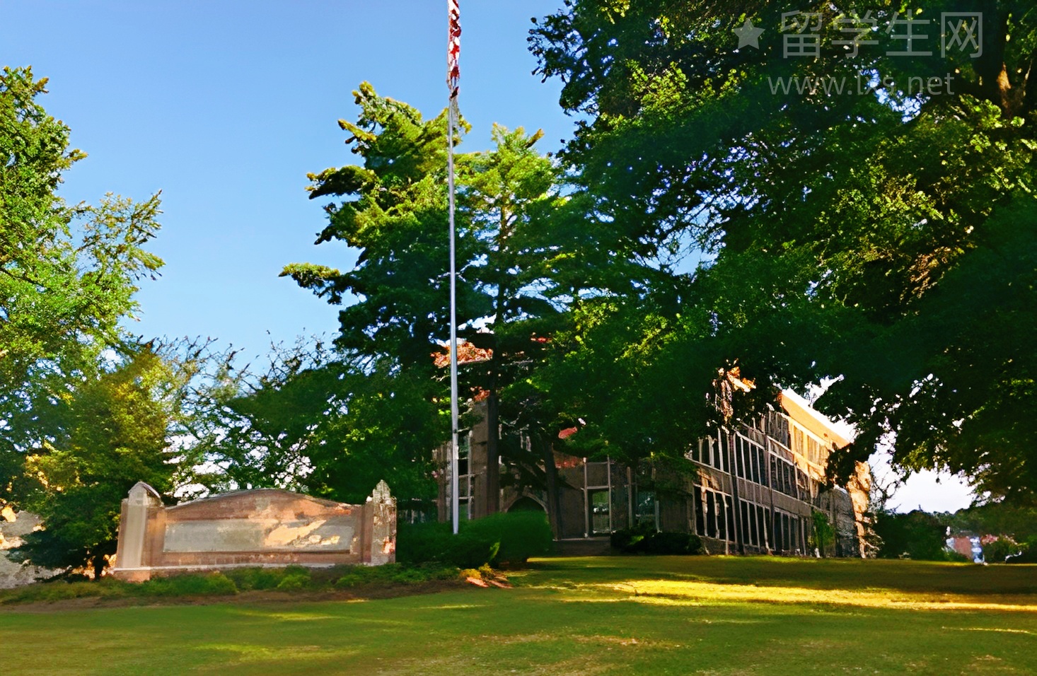 全球大佬都来了，留学生的机会在哪？