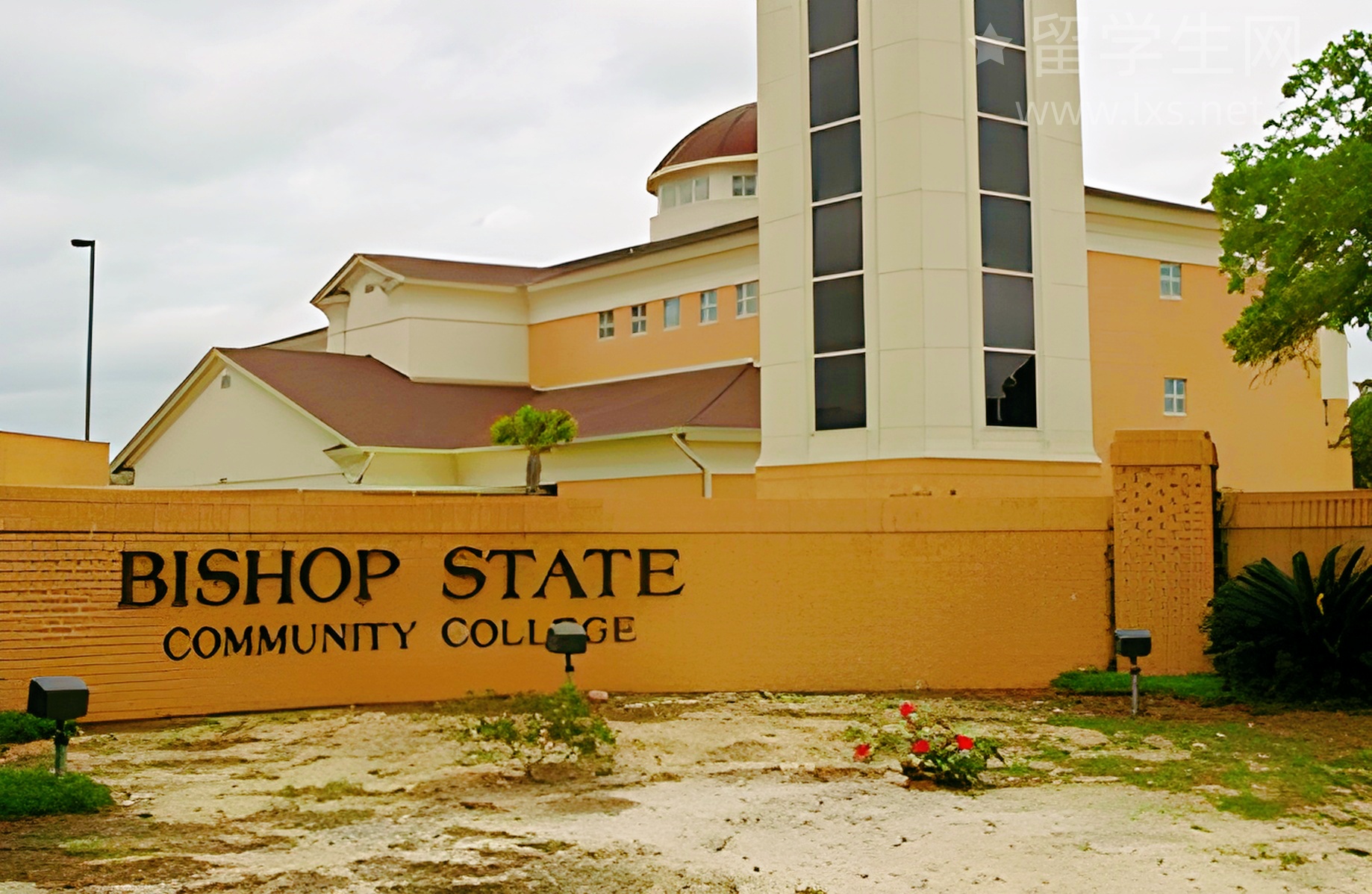 高分必看：托福雅思到底谁更简单？