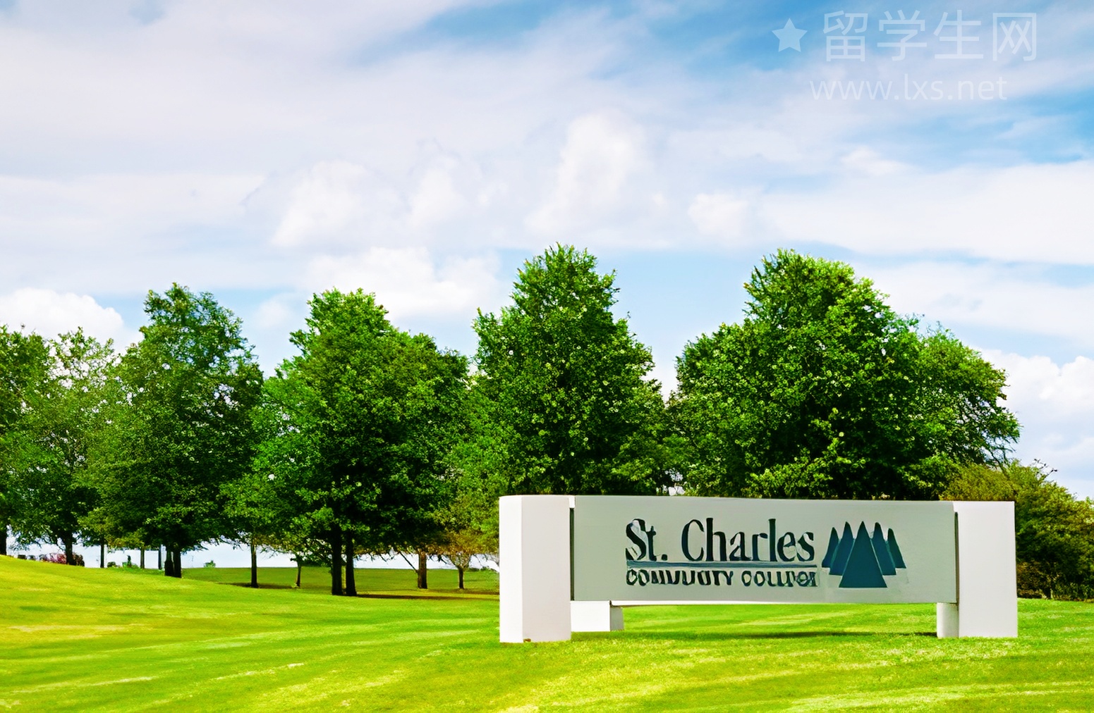 我在山顶修仙：CUHK留学图鉴