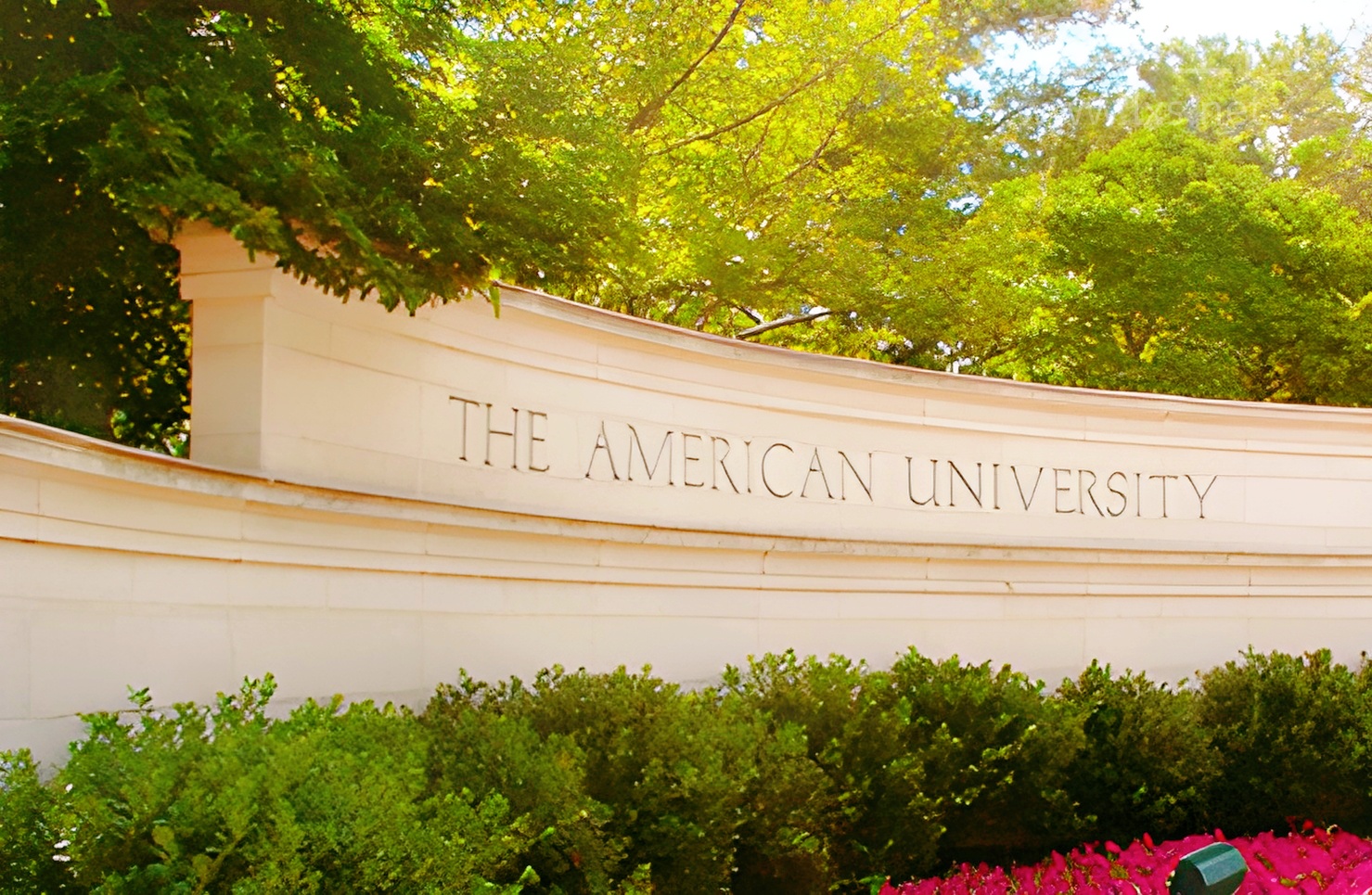 打破专业壁垒，原来公益可以这么酷！