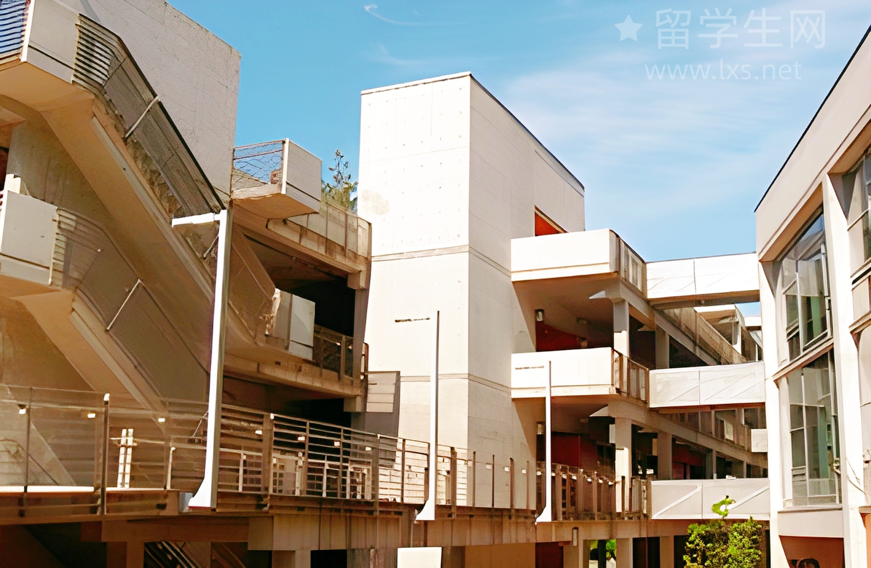 雅思高分经验变现，助教岗位等你来