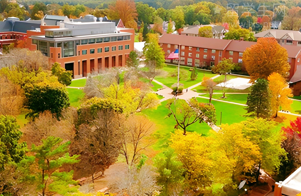 雅思学历要求，一次给你讲明白