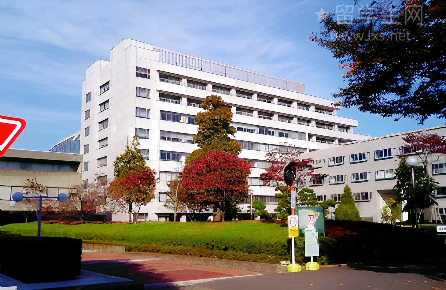 雅思加场，你的上岸机会来了！