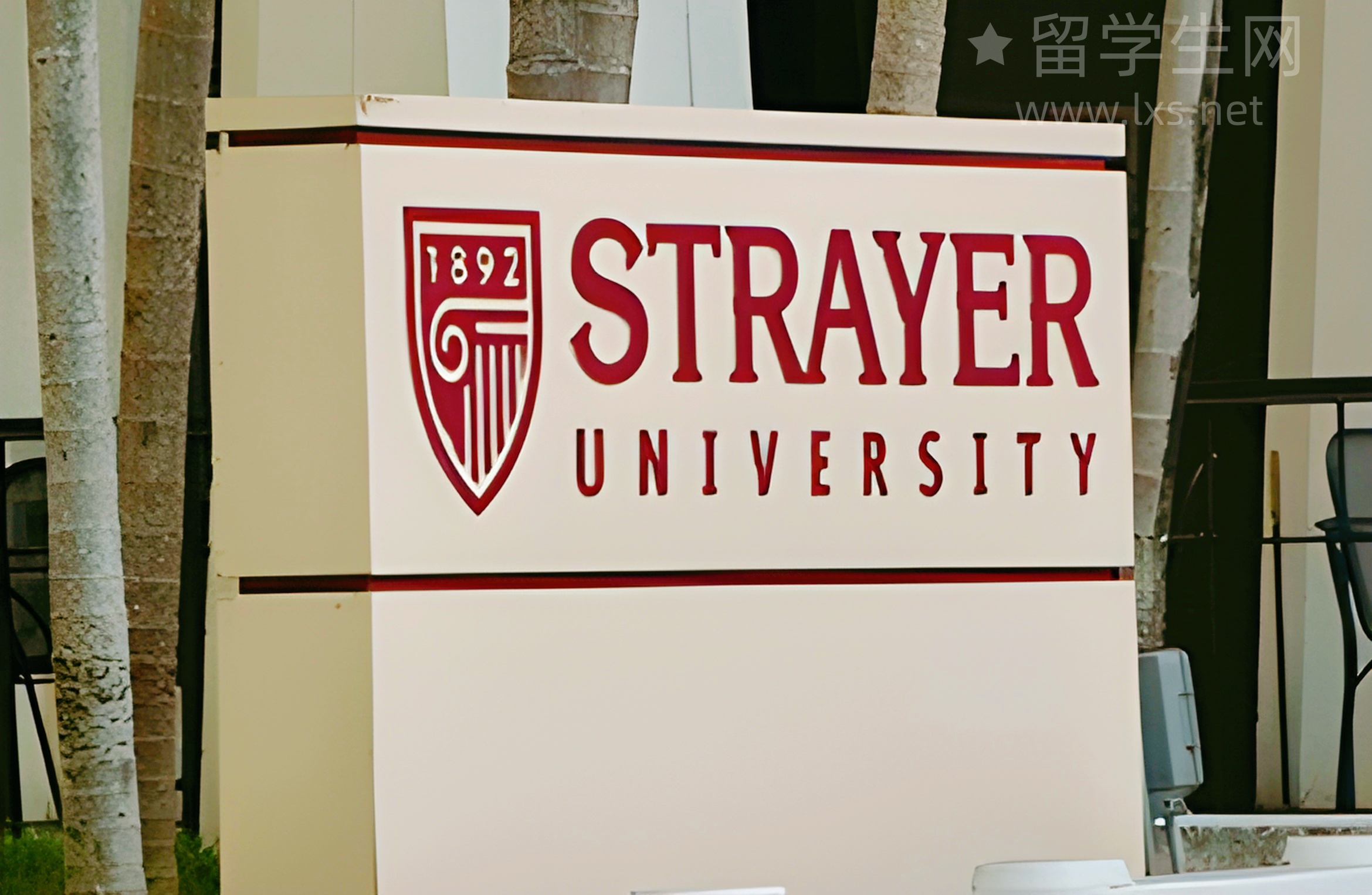 NCEA选对课，轻松直通梦校